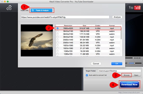 download netflix movies on macbook air